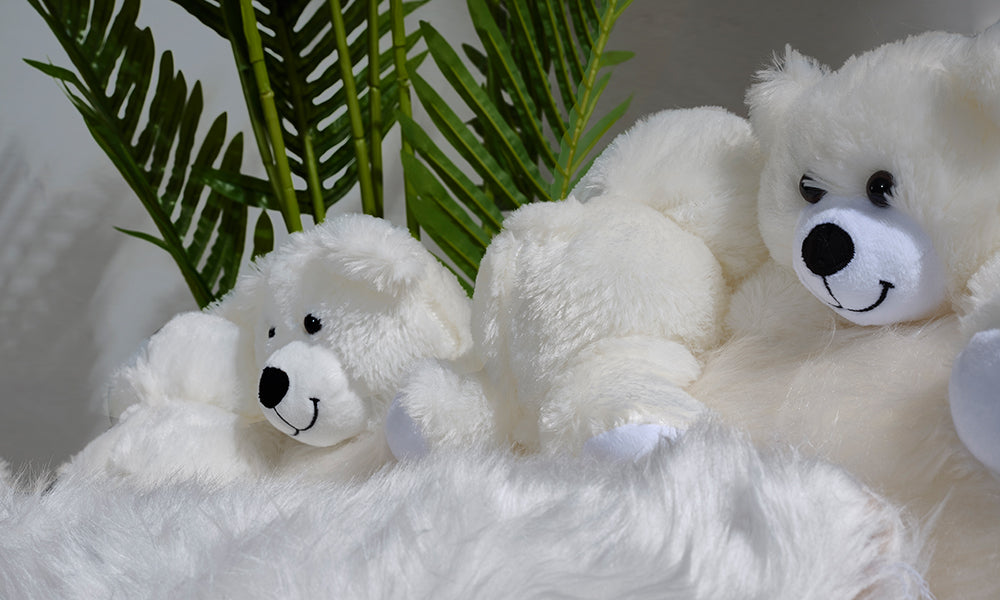 Teddy Bears Berjer